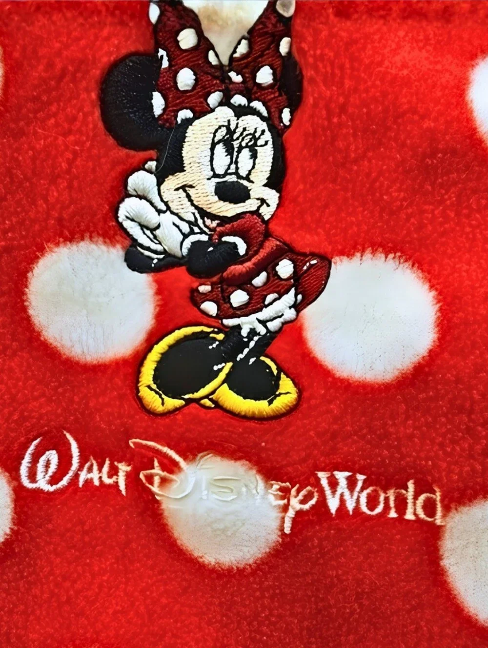 Disney authentic parks